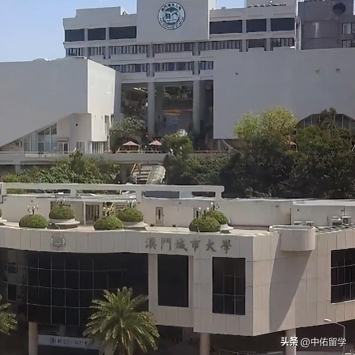 茶叶种植管理 第145页