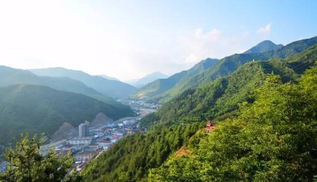 武夷山岩茶 第112页
